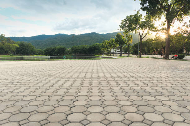 Best Custom Driveway Pavers  in Granby, MO